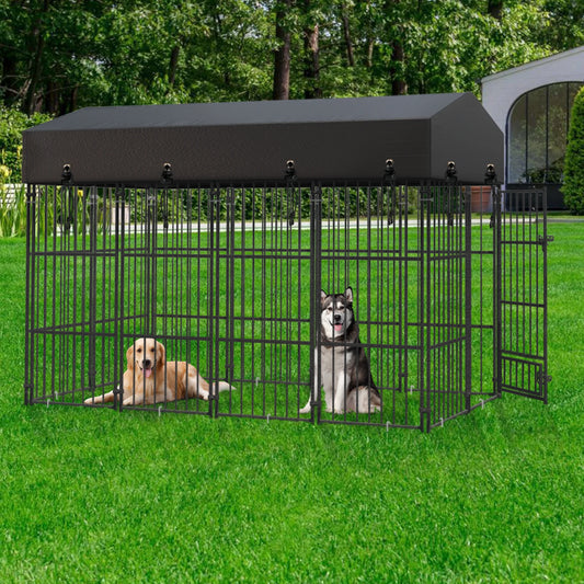 Heavy Duty Outdoor Metal Dog Kennel With Secure Roof Enclosure