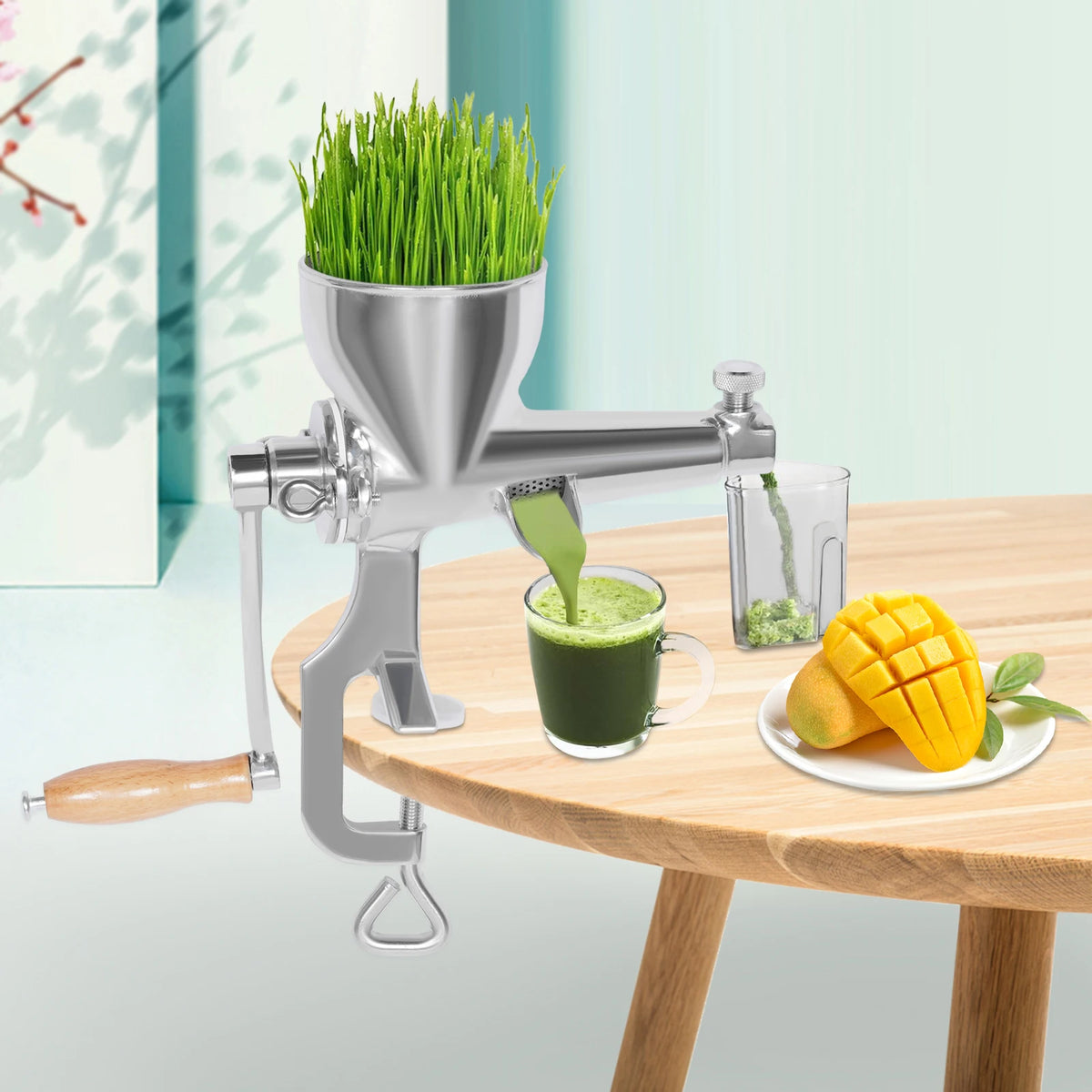 Bymaocar 304 Stainless Steel Manual Fruit And Vegetable Juicer