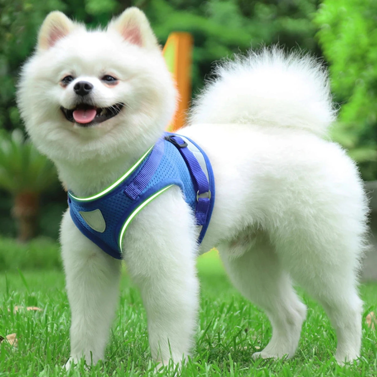 Reflective Adjustable Dog Harness With Leash And Mesh Vest