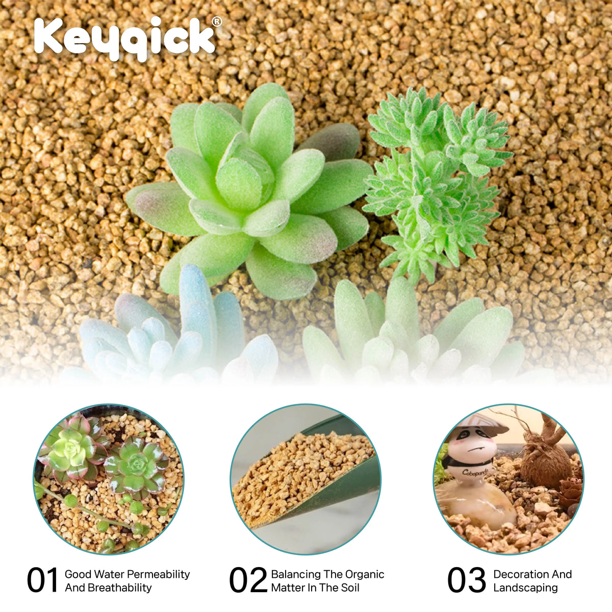 Maifanitum Stones for Succulents, Cactus, Bonsai and Terrarium Decor