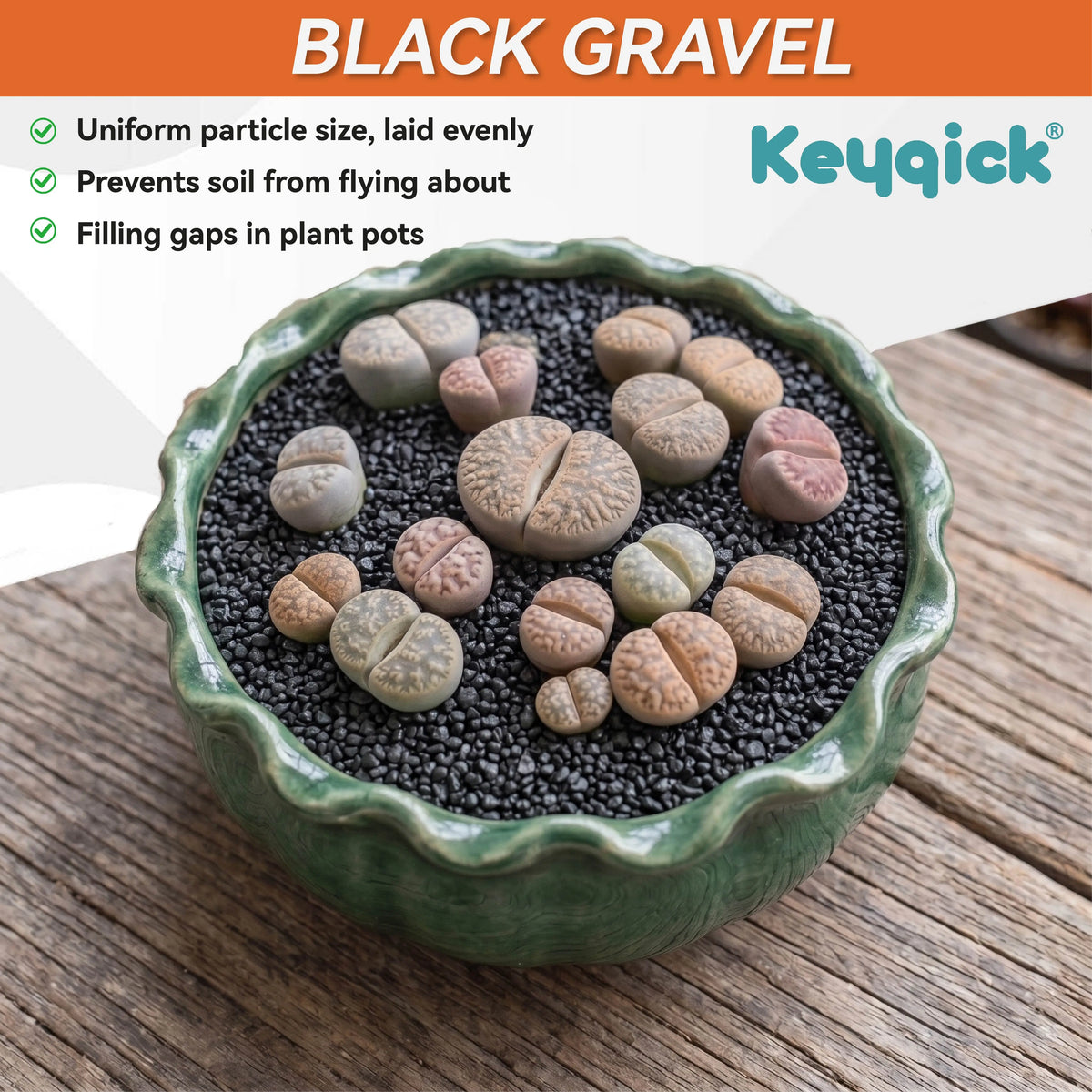 Decorative Aquarium Gravel Substrate for Plants and Crafts