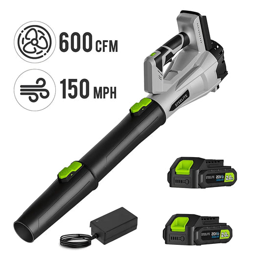 Deli 21V Cordless Leaf Blower With Two Batteries And Charger