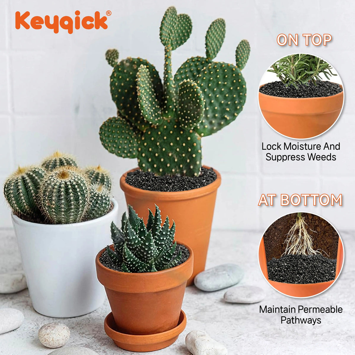 Decorative Aquarium Gravel Substrate for Plants and Crafts