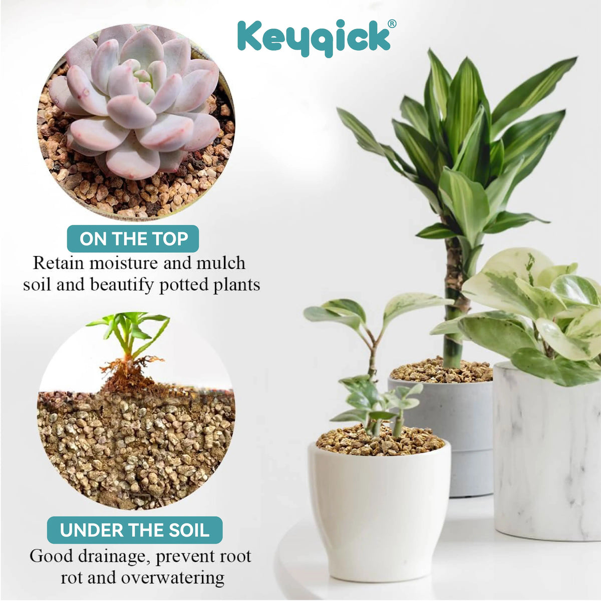 Maifanitum Stones for Succulents, Cactus, Bonsai and Terrarium Decor