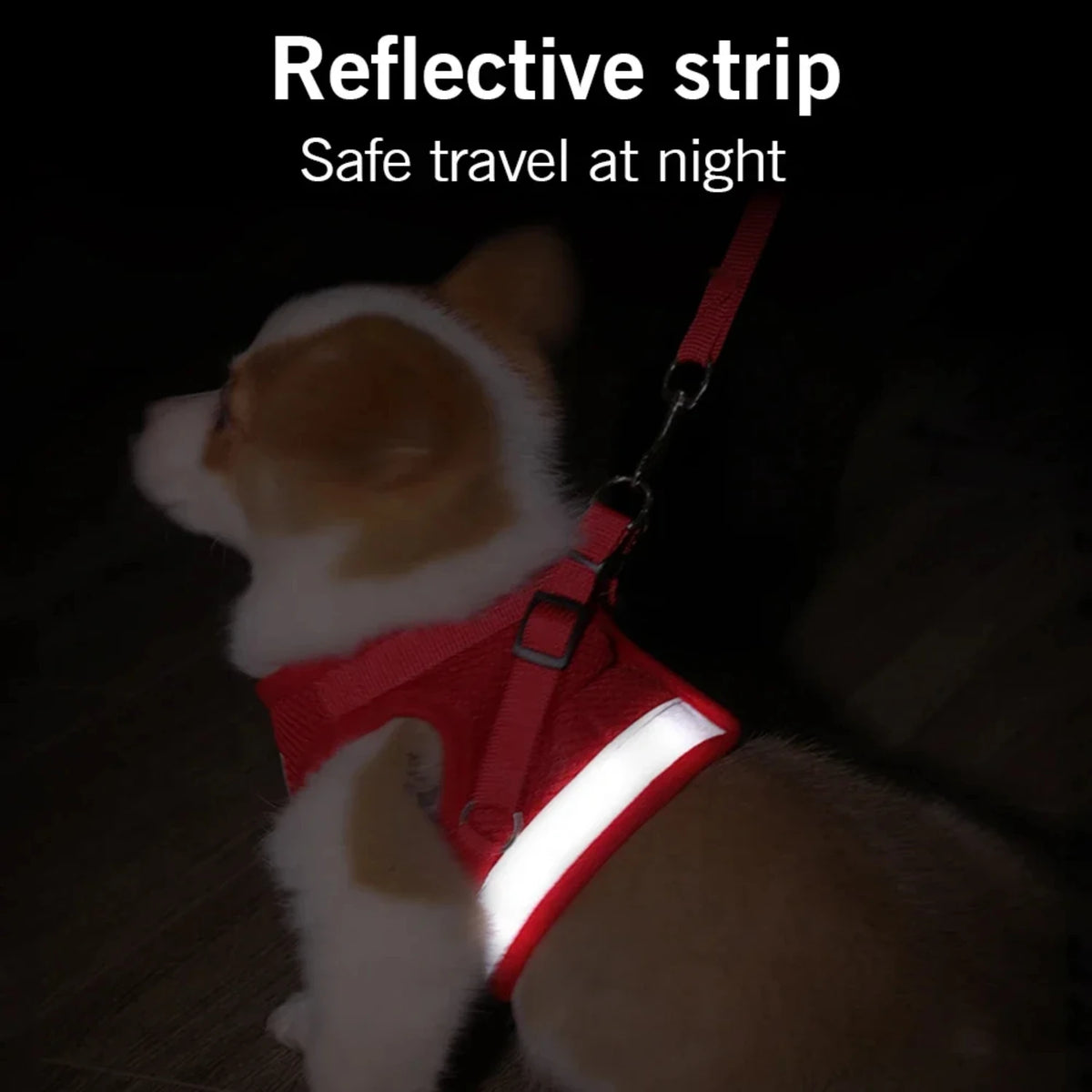 Reflective Adjustable Dog Harness With Leash And Mesh Vest