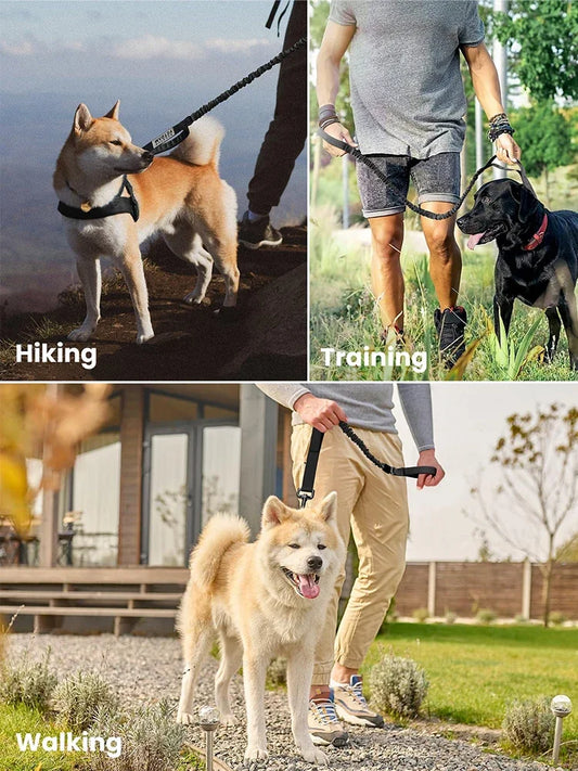 PETRAVEL Adjustable Military Dog Leash With Dual Control Handles