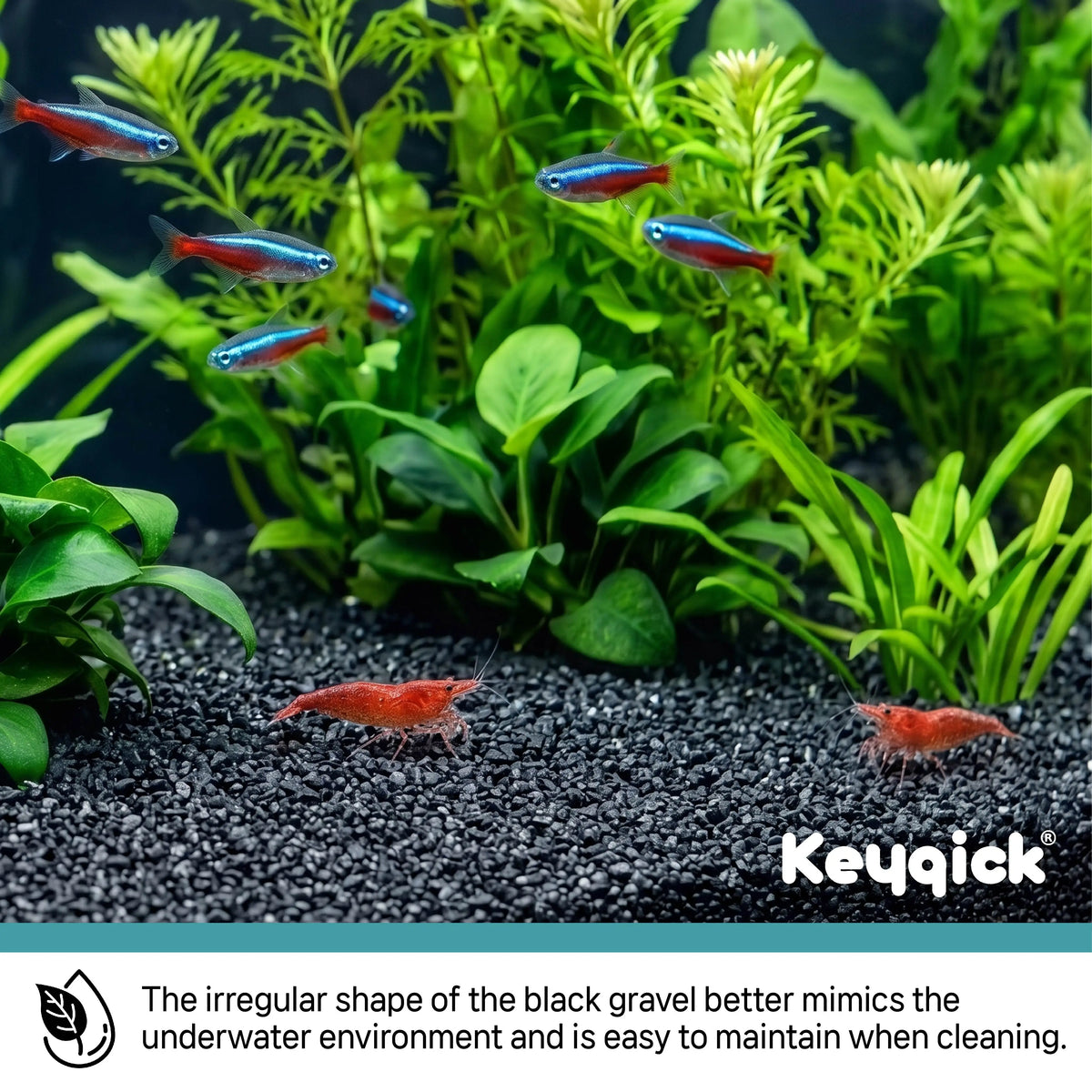 Decorative Aquarium Gravel Substrate for Plants and Crafts