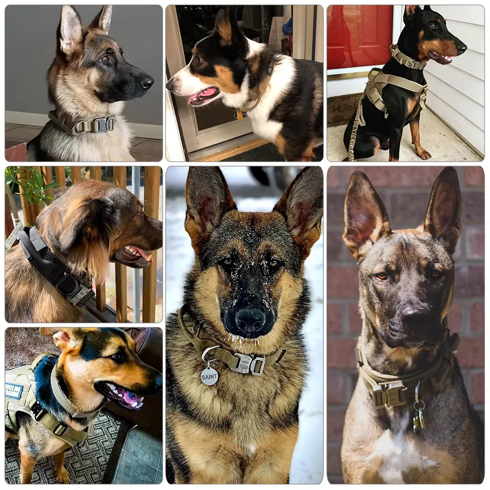 Adjustable Tactical Nylon Dog Harness And Collar Set For Training