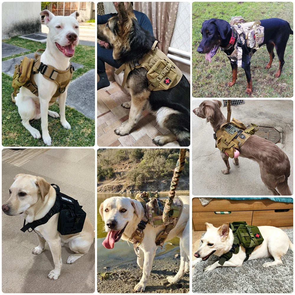 Durable Tactical Dog Harness And Leash Set No Pull For Large Dogs