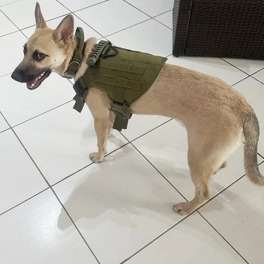 Adjustable Tactical Nylon Dog Harness And Collar Set For Training