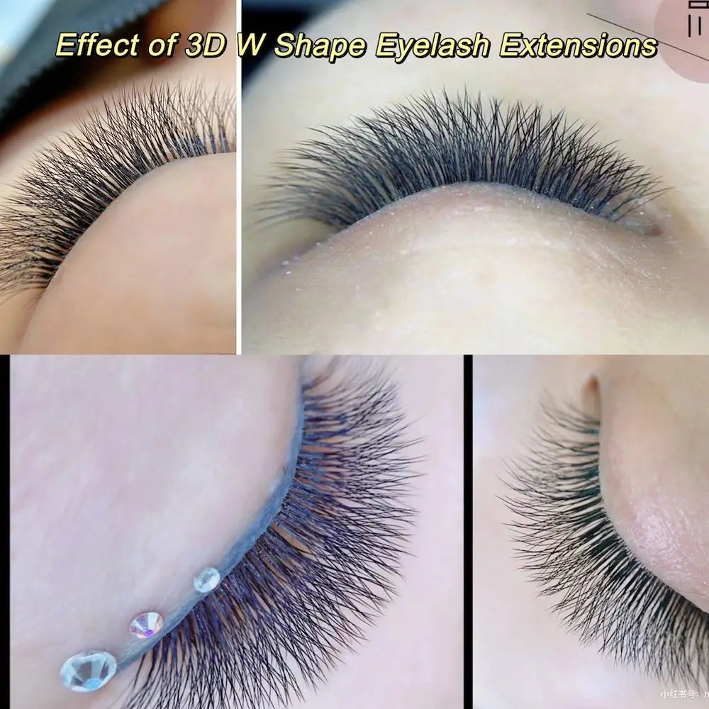 Nagaraku 3D 4D 5D W Shape Synthetic Eyelash Extensions