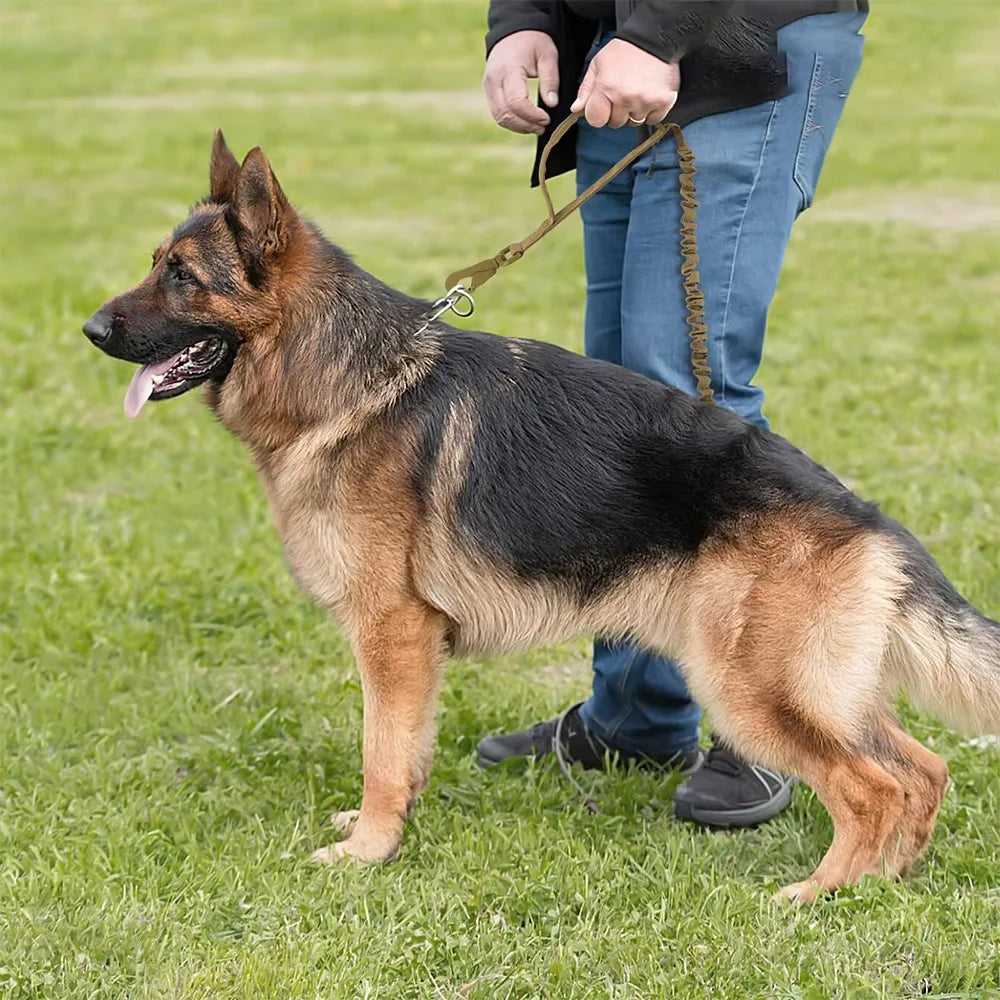 PETRAVEL Adjustable Military Dog Leash With Dual Control Handles