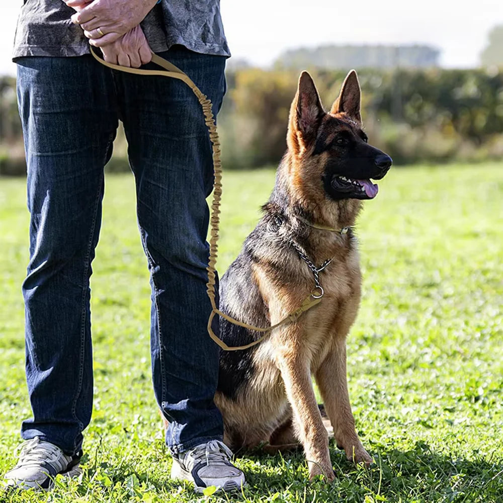 PETRAVEL Adjustable Military Dog Leash With Dual Control Handles