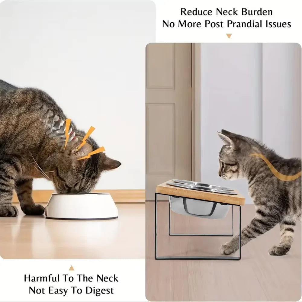 Elevated Tilted Cat Bowls With Wooden Stand And Stainless Steel