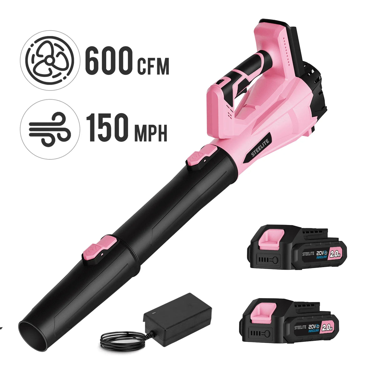 Deli 21V Cordless Leaf Blower With Two Batteries And Charger